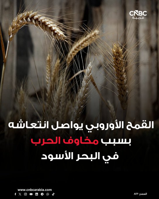 أسعار القمح ترتفع في بورصة يورونكست الأوروبية للجلسة الثالثة، الاثنين 22 ديسمبر/ كانون الأول، بعد أن أدت هجمات شنتها أوكرانيا وروسيا على سواحل إحداهما الأخرى على البحر الأسود إلى بعض عمليات تغطية المراكز البيعية، وفق ما نقلته رويترز عن متعاملين 