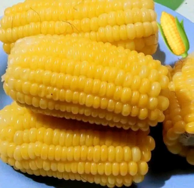 onmyway1133's tweet image. What is it call in your language?