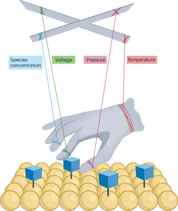 Nature Catalysis tweet media