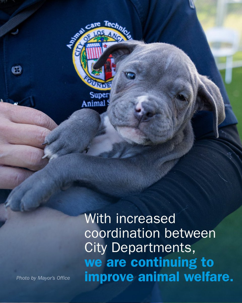 Mayor Karen Bass tweet media