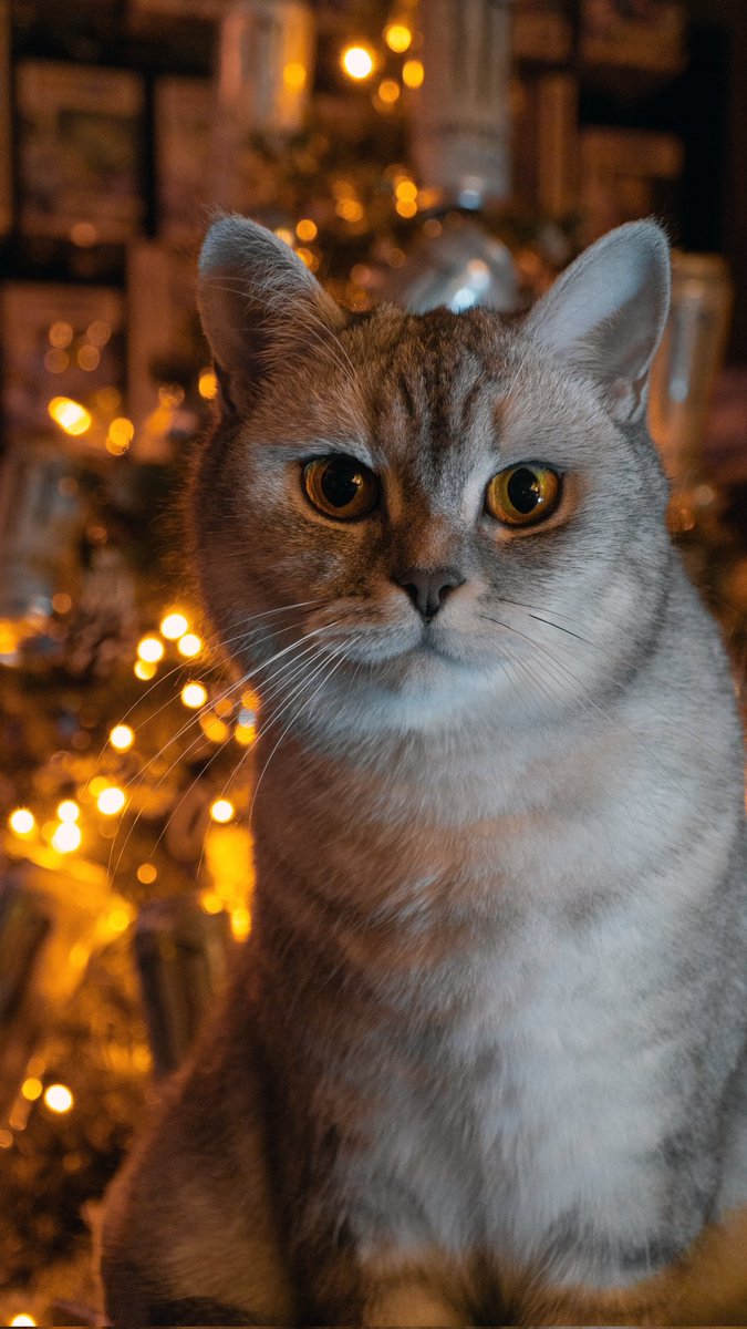 My Man 🙂‍↕️✨️