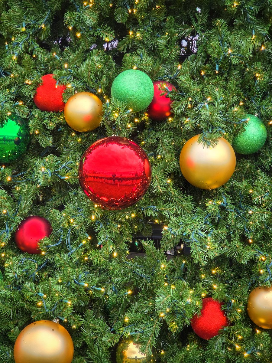 ElevenTroy's tweet photo. @DailyPicTheme2 #bauble #Christmas #photograghy #DailyPictureTheme https://t.co/44rDHpztvw