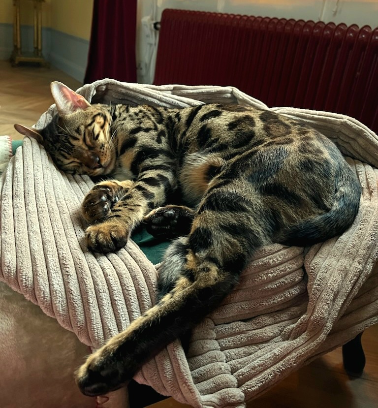 Mister_Low_Risk tweet media