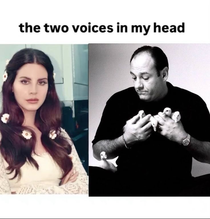 whotfisjovana's tweet image. 