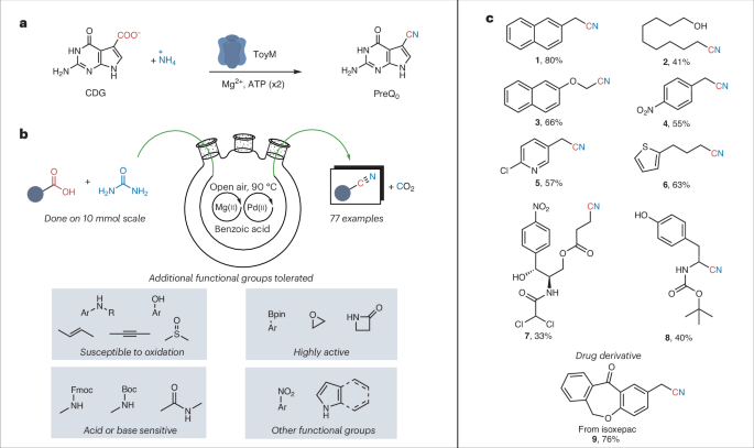 NatureCatalysis's tweet photo. Practical conversion of carboxylic acids to nitriles https://t.co/YY0s0qB2Bo https://t.co/FyOU7Pw97Z