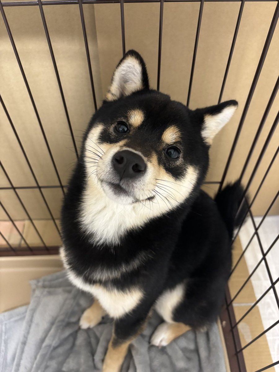 おはようございます
今日は寒いですよ