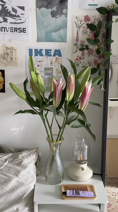 chaarpaai's tweet image. Day 1.                        Day 6.