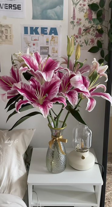 chaarpaai's tweet image. Day 1.                        Day 6.