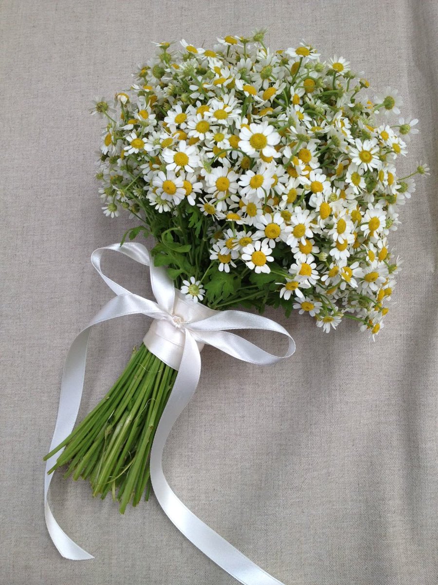 ᅠ ᅠ (@greendreaams) on Twitter photo 