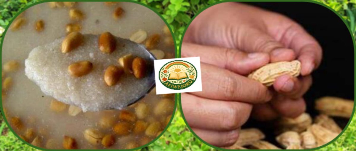 Basidonal23's tweet image. If you’ve never felt the pain of a groundnut falling while you’re prepping your Garri, you don't know what sacrifice is! 😂
Some of us will pick it up from the floor, but let’s use this season to practice real giving instead.
Merry Christmas! 🎅🥜

#Basidonal #WellnessJourney