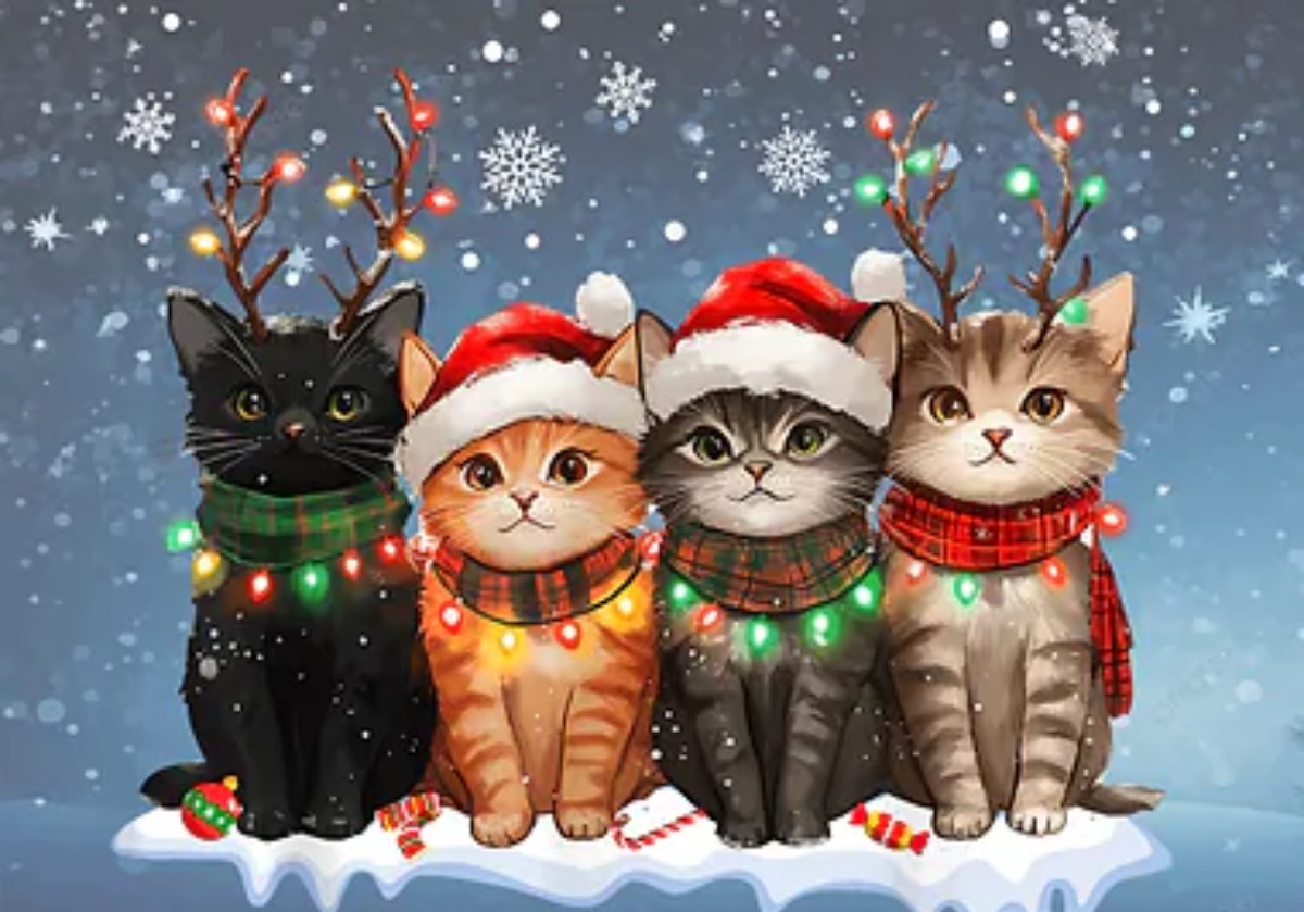 EISzX8OZtHNbF6O おはようございます 榎本様 可愛い猫ちゃんの画像