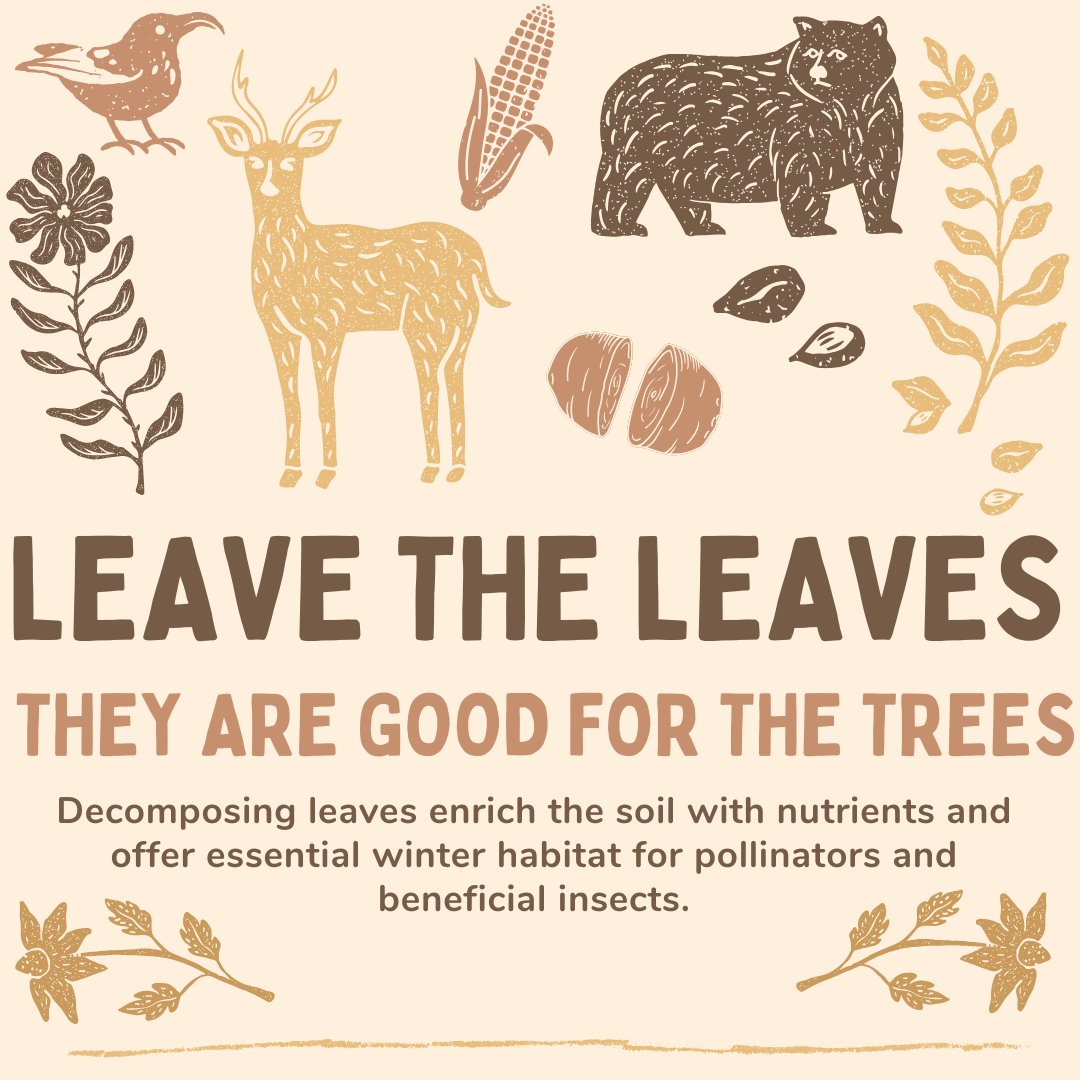 Santa Monica Mt Fund tweet media