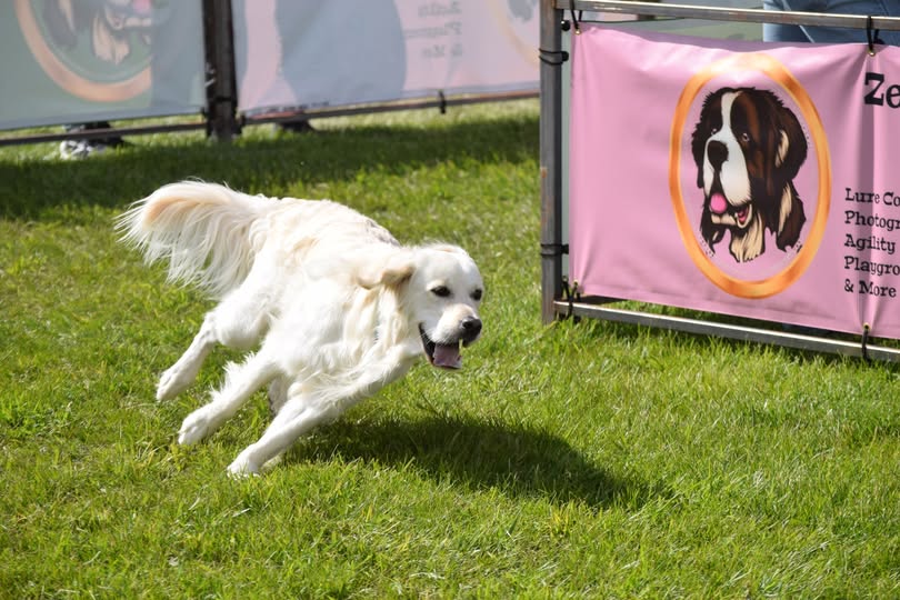 Frankenmuth River Place Shops tweet media