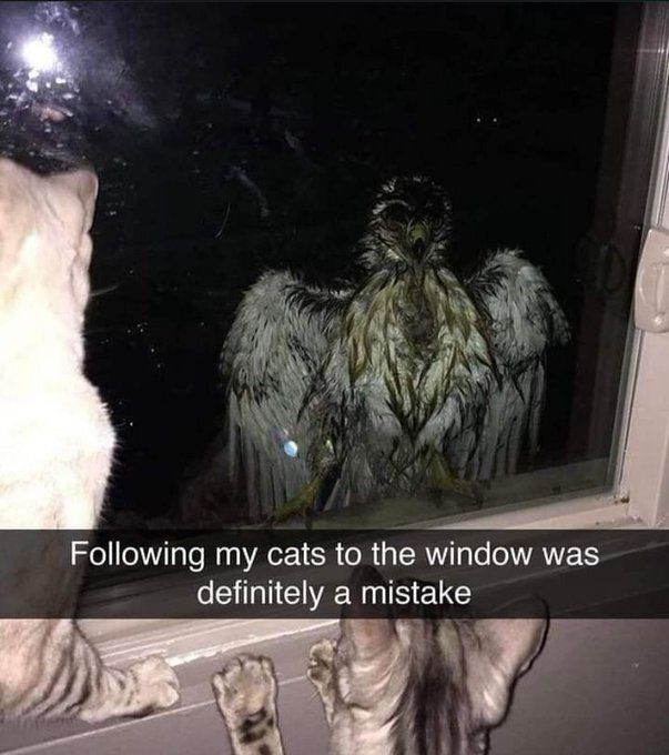 God (@postsofgod) on Twitter photo 