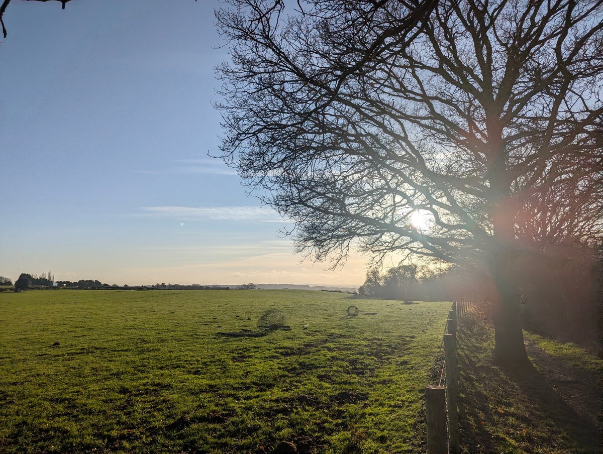 nickbiss39's tweet image. A return of my favourite #SunlightThroughTrees from a recent walk #SmallBeautiesHour #BecauseOfClem #ThreadOfGold