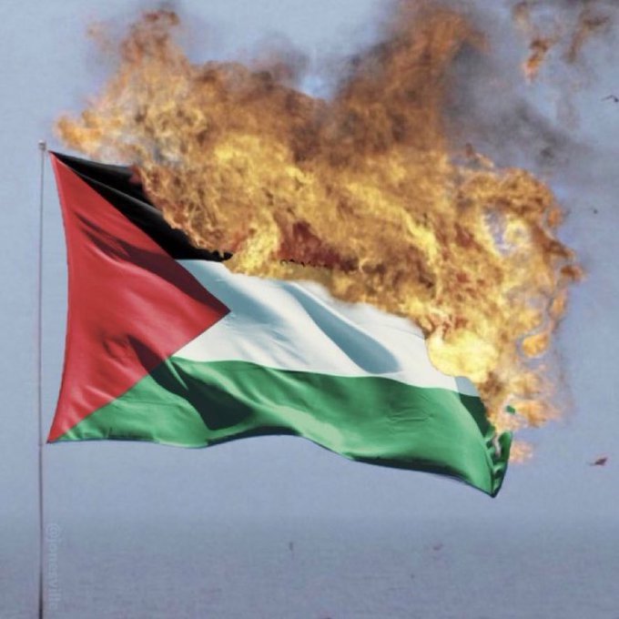 K⚡️W tweet media