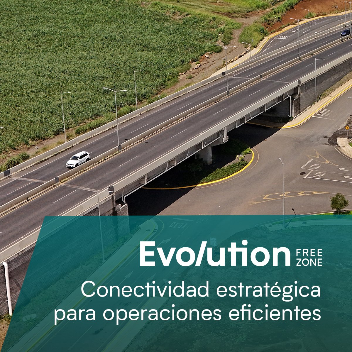 Evolution Free Zone tweet media