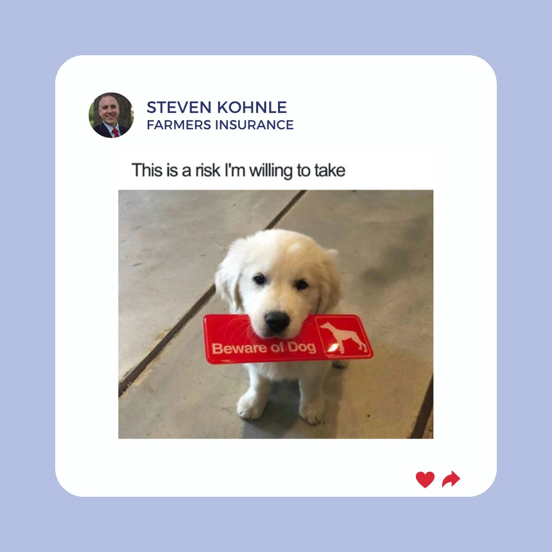 Steven Kohnle tweet media