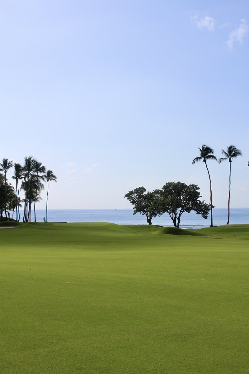 LINKSMagazine's tweet photo. “The best golf course in the Caribbean just got better.” @casadecampo 

📸: @al_lunsford https://t.co/5dTd87urFD