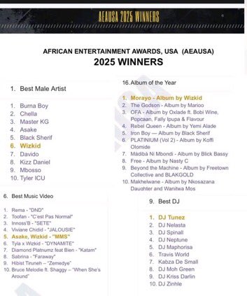 0nly1Virgo's tweet image. 2025 Winners for the AEAUSA 🇺🇸 Awards

▫️Best Male Artist (Wizkid)
▫️Album Of The Year (Morayo)
▫️Best Music Video (MMS)
▫️Best DJ Of The Year (DJ Tunez)
▫️Best Manager Of The Year (Jada Pollok) 🏆

— BIG Wiz with Big Wins 🏆