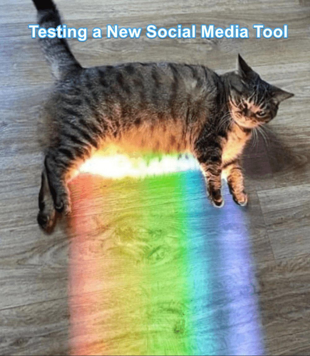 WinterNode Hosting tweet media