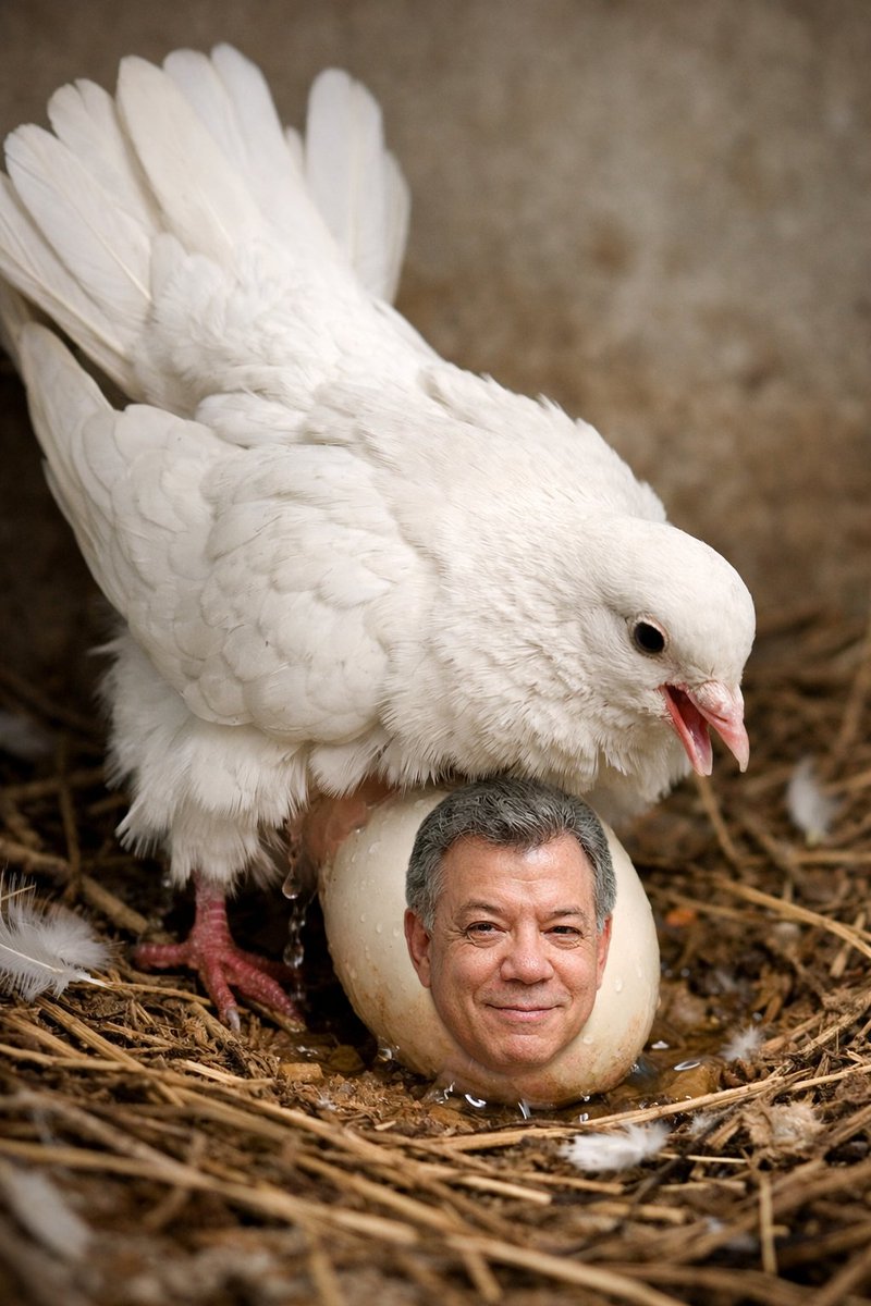 ¿Qué está esperando el Centro Democrático? ¿Qué es lo que está pasando en este país?
Otra vez asoma el Uribe-santismo, ese híbrido político que tanto daño le hizo a Colombia y que hoy parece estar tocando nuevamente las puertas del poder.
Las señales son claras. Las posturas