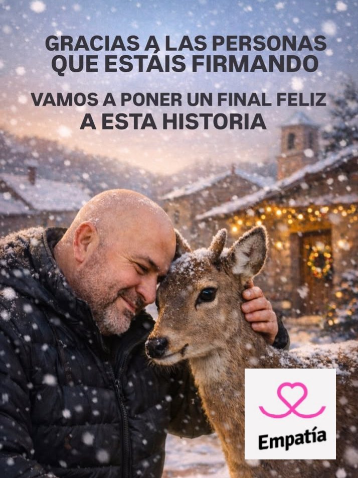 🦌❤ Ojalá que #PepayJavi tengan una Feliz Navidad

Silvia Barquero <a href="/barquerosb/">Silvia Barquero</a> #AsociaciónEmpatía, se reune con <a href="/jcyl/">Junta de Castilla y León</a> para que Pepa, una cierva mansa, no acabe en una finca de caza

✍ SÚMATE a las +de 10.000 firmas recogidas!

asociacionempatia.es/firmas/que-no-…

#NOaLaCaza IG <a href="/empatia_es/">Asociación Empatía</a>
