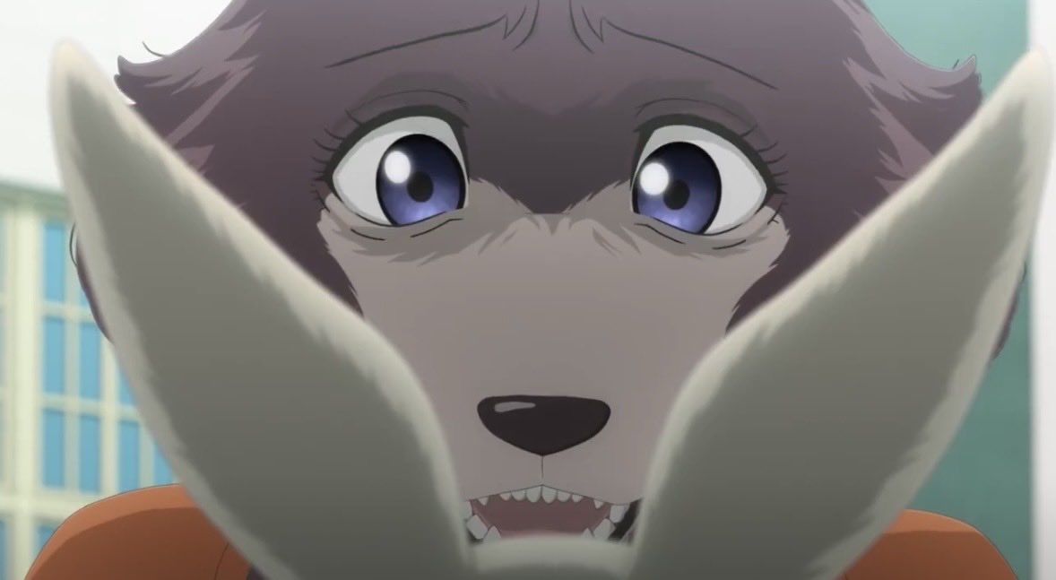 why is Juno such a cutie in the new Beastars trailer