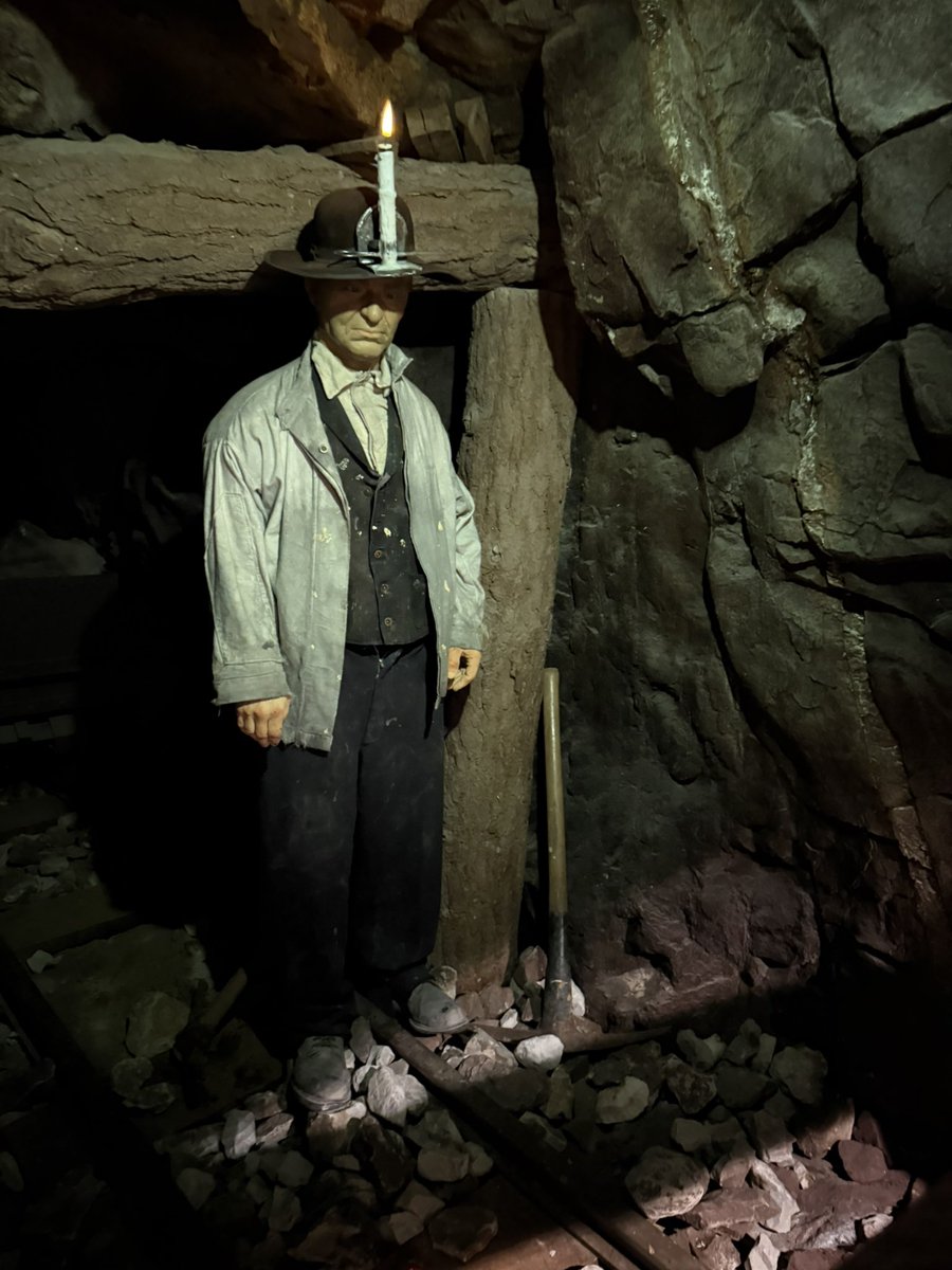 wattles 💎 tweet media