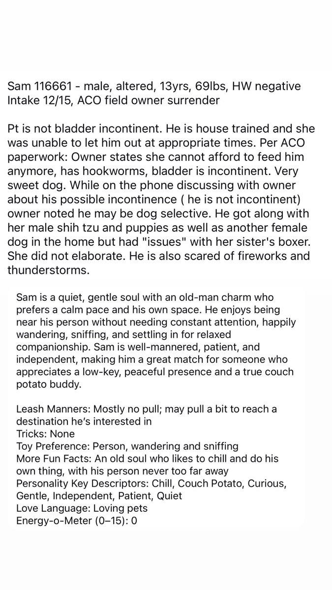 ash__almighty's tweet image. 😡 I hate seeing an elderly dog end up in the shelter after being a family member their entire life 😡 
📝 Pls read 13-yr-old Sam’s history in the photos below
📍 Greenville #SouthCarolina 
☎️ 864-467-3952
@Dubs4Mutts @psychicwhisper3 @PawsnTails4TX @LisaBrabson @_DOGPOOL_ #ADOPT