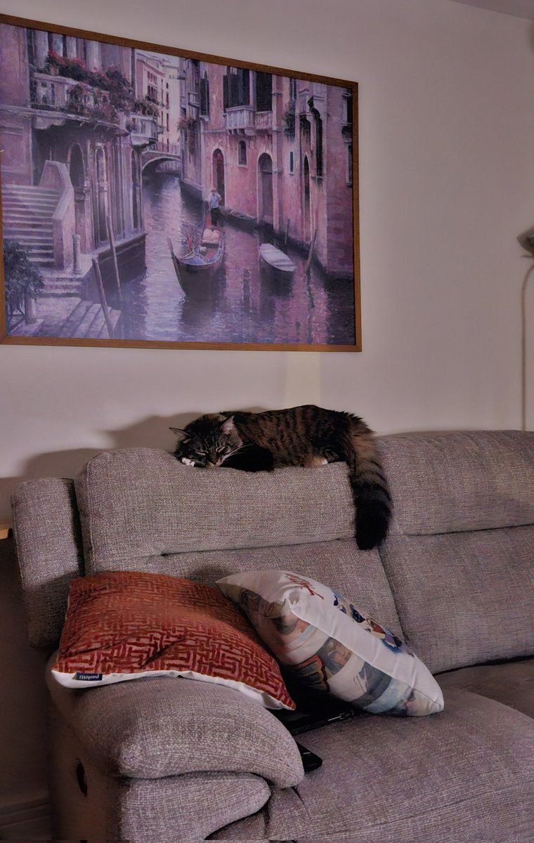 Not yet 3, but already an old boy 😁