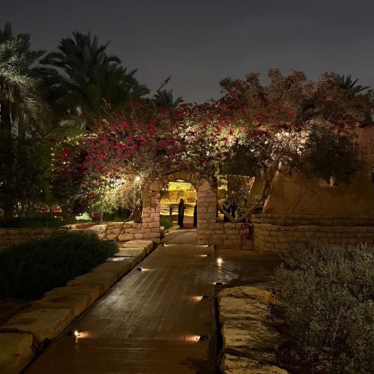 ____i1111's tweet image. 🤎