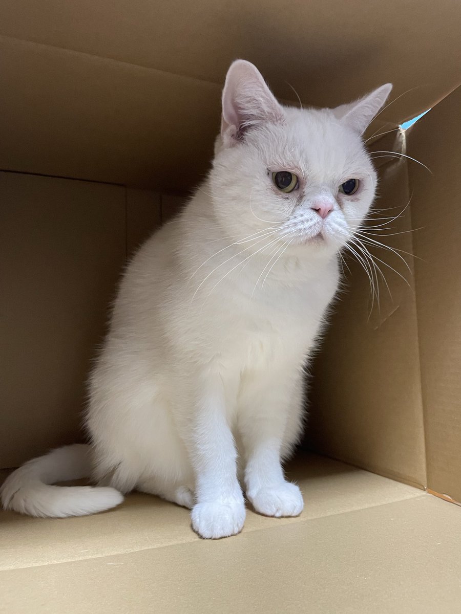 マロンとモンブラン (@tmnr1213) / Posts / X