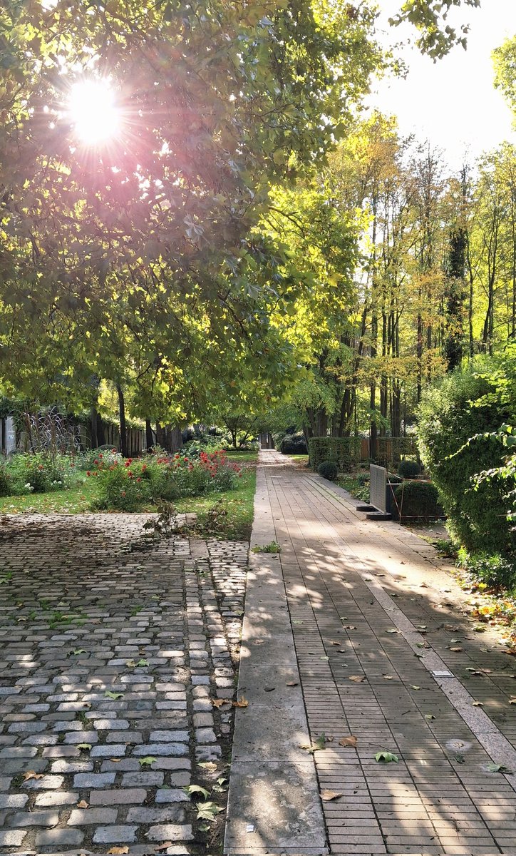 HaychAF's tweet image. favourite photos that I took this year