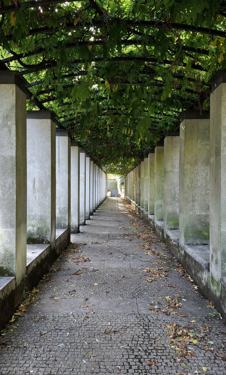 HaychAF's tweet image. favourite photos that I took this year