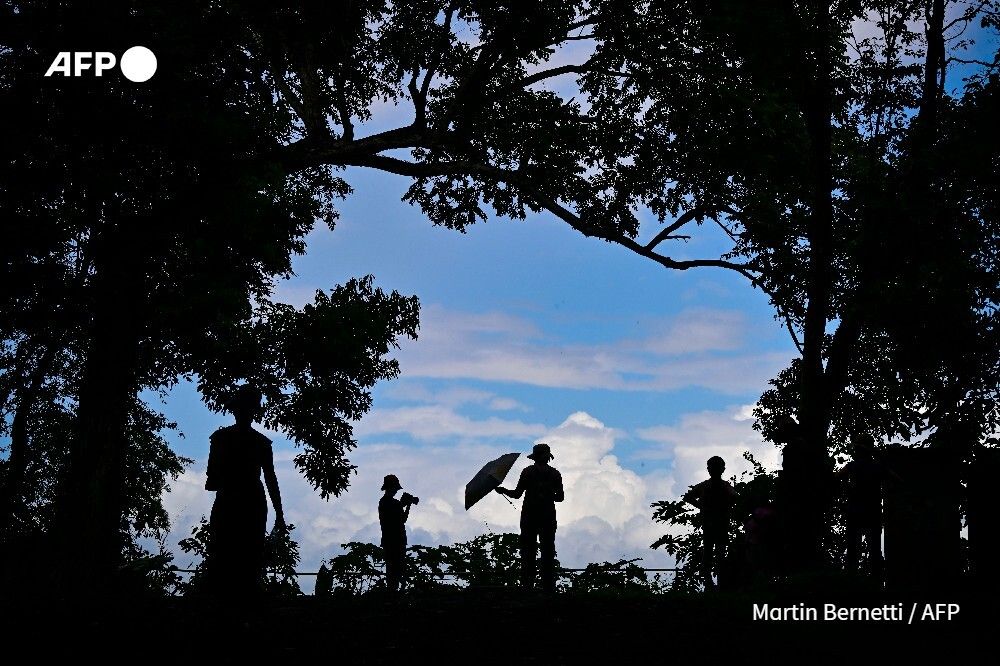 AFP News Agency tweet media