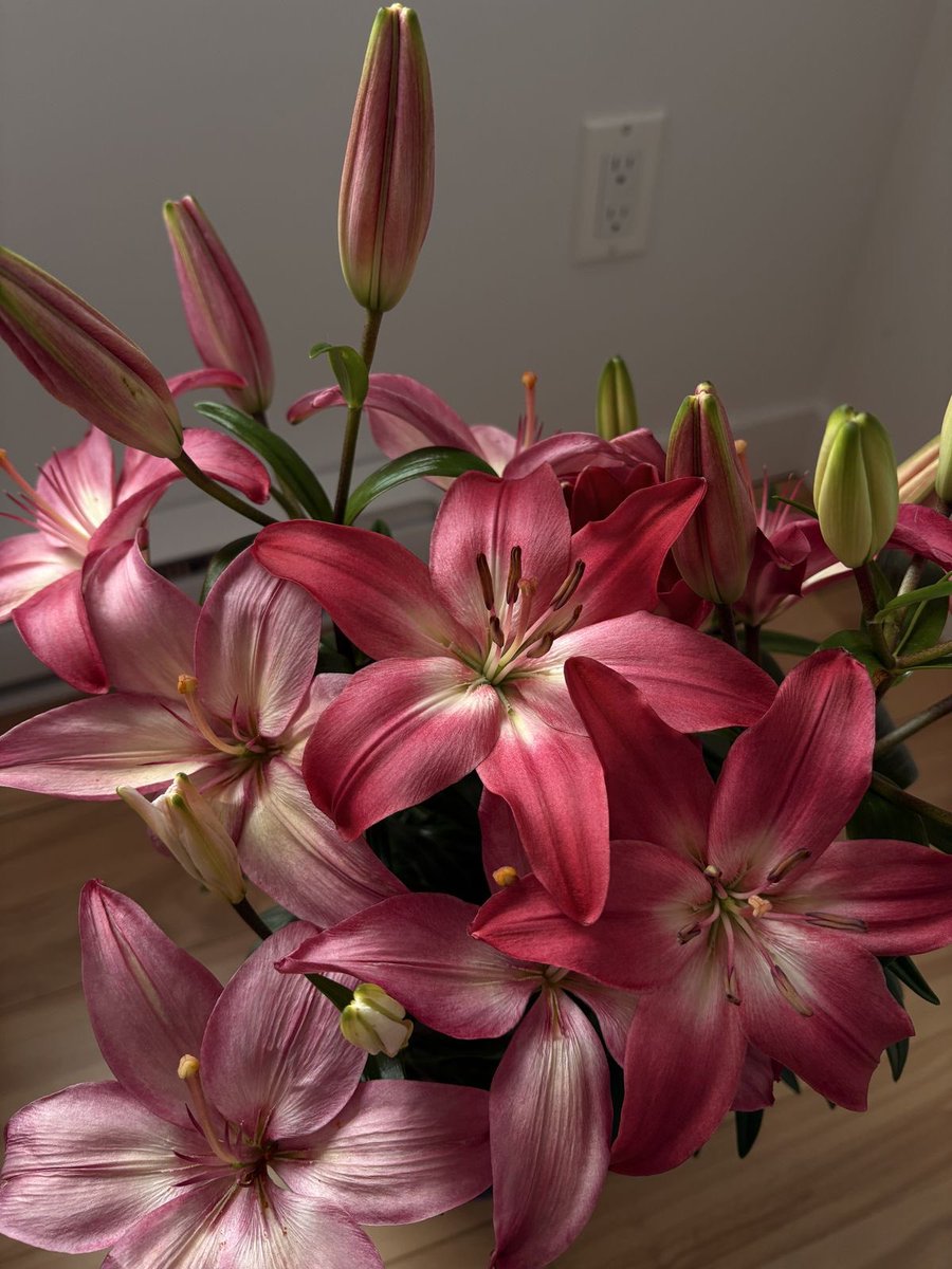 1leio's tweet image. 