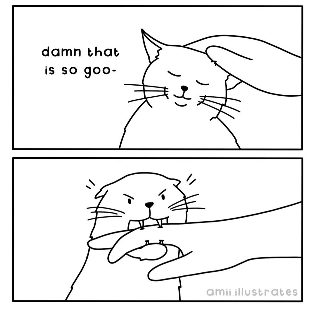 lined cats (@linedcats) on Twitter photo 