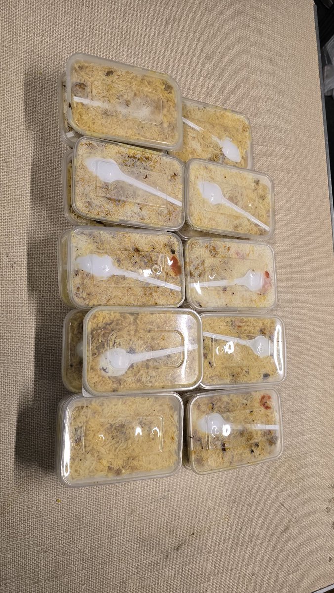 Braving the chill of a rainy Sunday night 🌧️, we distributed 20 Hot Meals to Homeless Individuals in Watford and Hemel Hempstead Town centers.
A small act of kindness for those who need it most. 
#CommunitySupport #SpreadWarmtg #UK