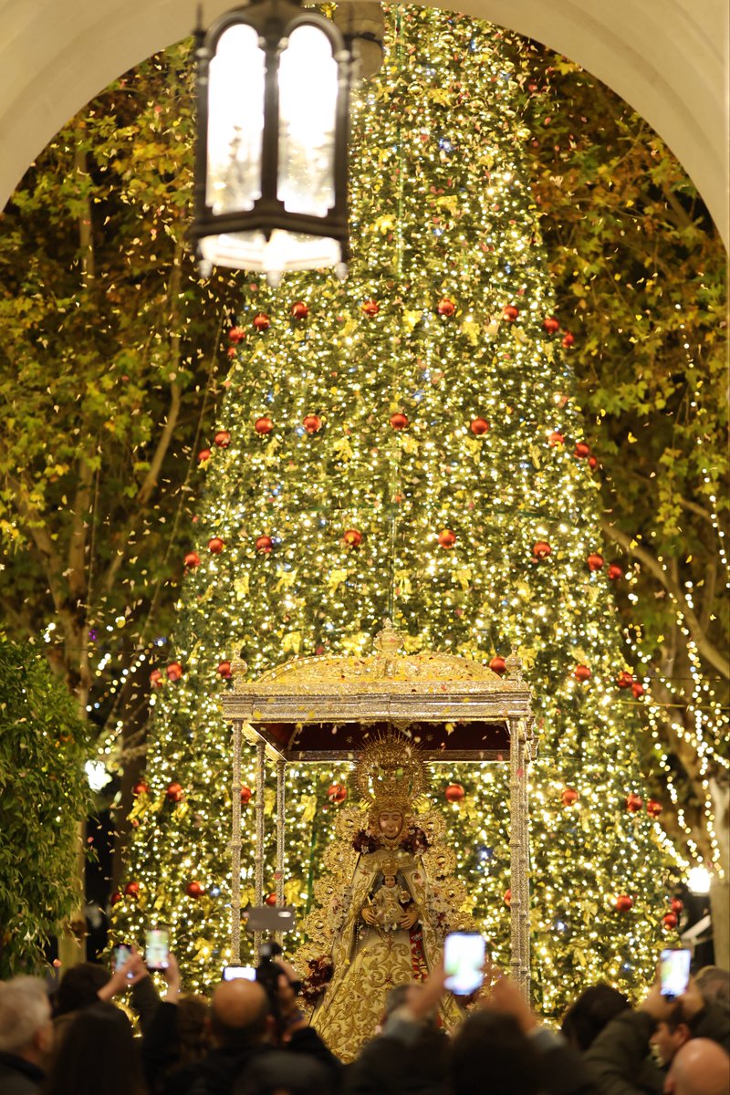 HdadRociodeSev's tweet photo. Dicen que la bajan.. 🎶

La Santísima Virgen del Rocío en en el Ayuntamiento de Sevilla. 

#RocíodeSevilla #75AñosCaminando https://t.co/c4RAQdRnU0