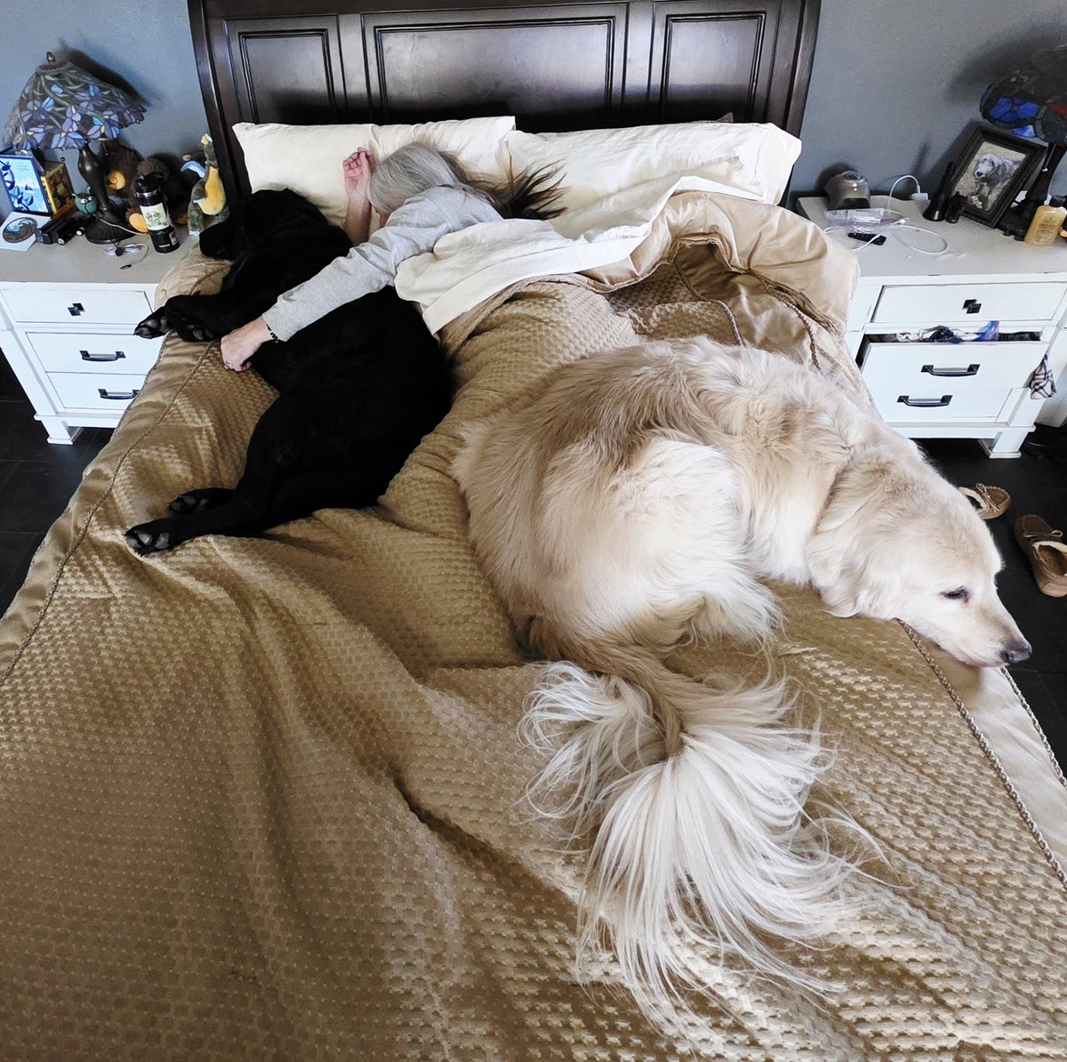 The Fulfilled Life tweet media