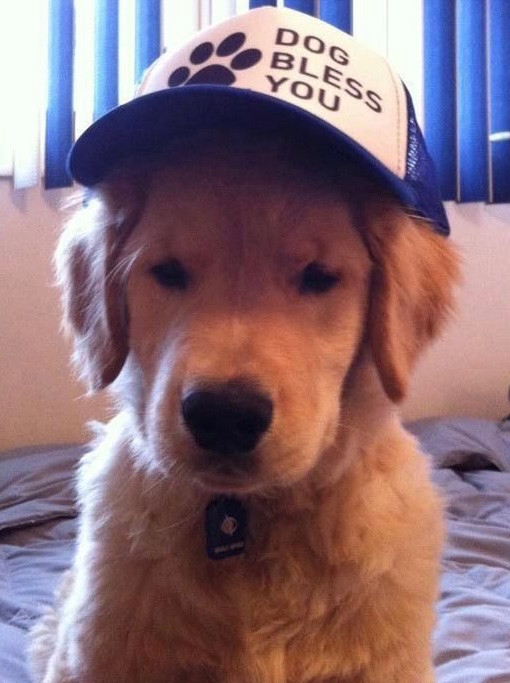 TED (@tedbalone) on Twitter photo 