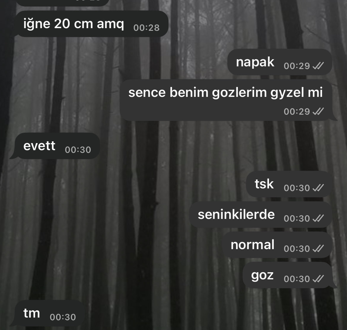 bengi’nin ausundaki baku oldm😅 gül gül olduk mal kız ya
