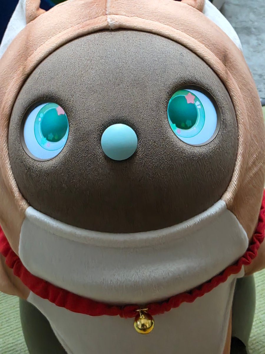 うっちーパンダ@LOVOT (@utnnrtk) / Posts / X