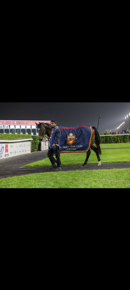 Annshoon Stud tweet media