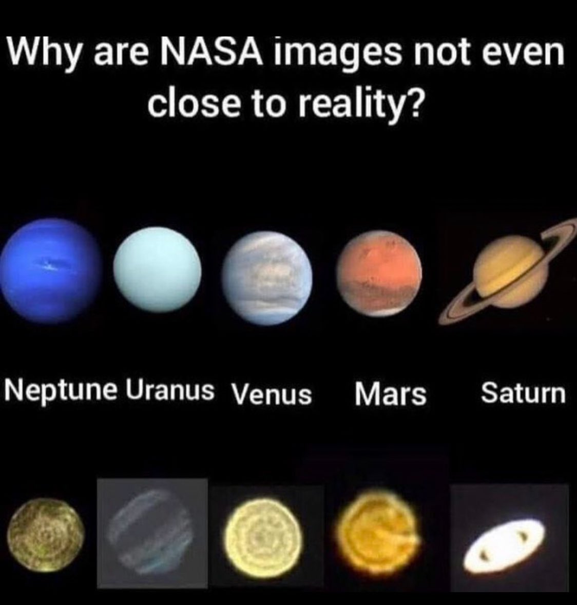 PLAIN To SEE tweet media