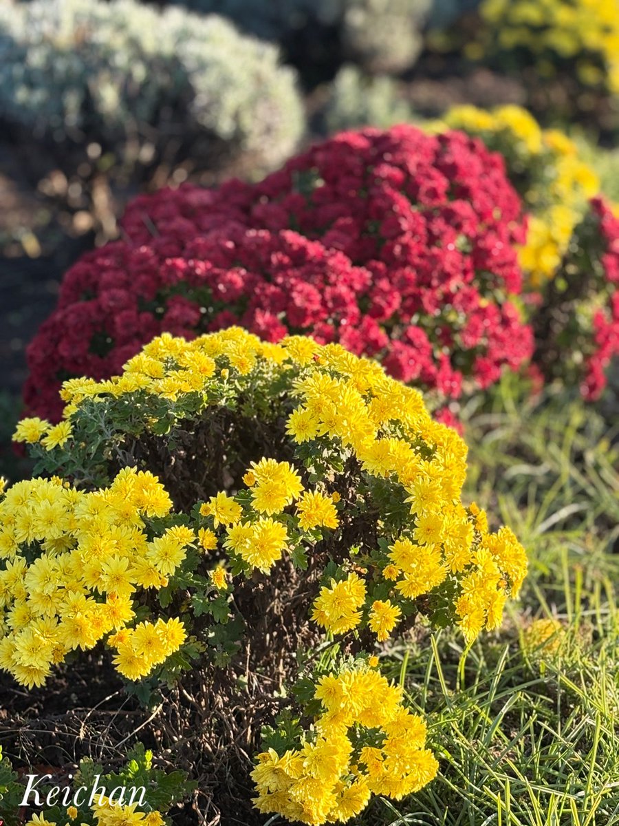 けいちゃん (@k1222_keichan) / Posts / X