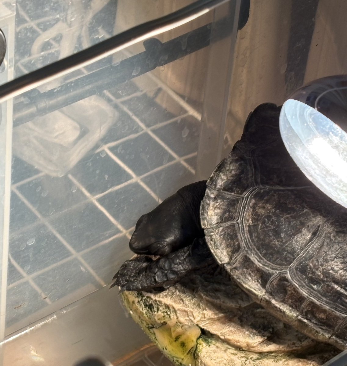 まだ寝てます😴
起こさないように小さい声で「いってきまーす」