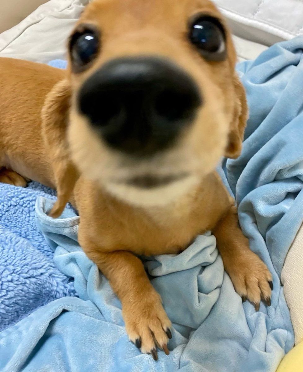 twaniimals's tweet image. 