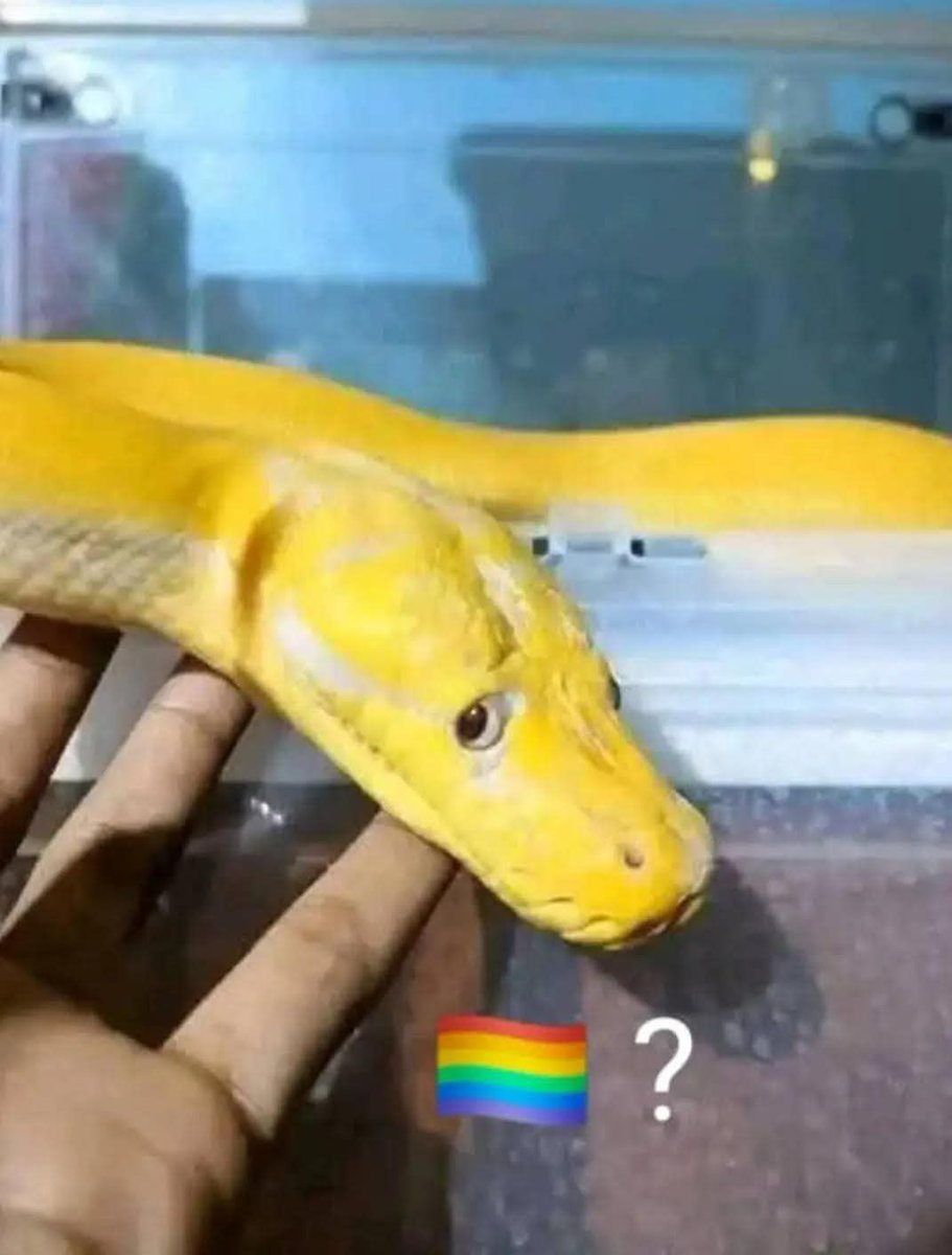 De la nada apareció mucho contenido de negros siendo pasivos, ¿Será está una señal del destino?